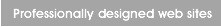 Professional Design